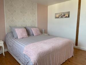 ein Schlafzimmer mit einem Bett mit zwei rosa Kissen in der Unterkunft Le Char'Mans, cocon suréquipé en centre ville in Le Mans