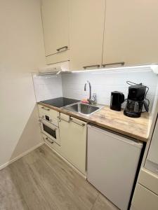 Kuhinja oz. manjša kuhinja v nastanitvi Charming Central Apartment Helsinki