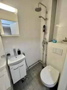 łazienka z toaletą i umywalką w obiekcie Charming Central Apartment Helsinki w Helsinkach