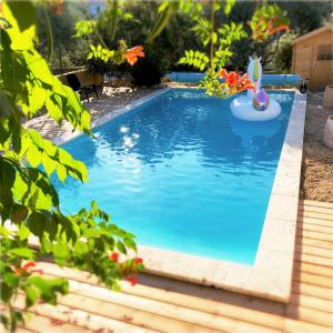 una piscina con un flotador en un patio en Suite Oasis en Provence Luberon Pierrevert en Pierrevert