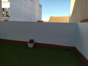 a white wall with a potted plant on a balcony at Alojamiento -Estudio Centro Dos Hermanas in Dos Hermanas