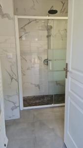 a shower with a glass door in a bathroom at STUDIO COCON VERNON-GIVERNY in Vernon