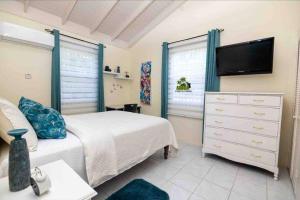 a bedroom with a bed and a tv and a dresser at ArecaPalmsOasis King Bed Near Dunns River Falls in Mammee Bay