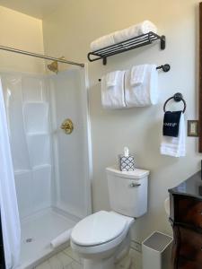 a white bathroom with a shower and a toilet at Hotel Stevenson in Stevenson