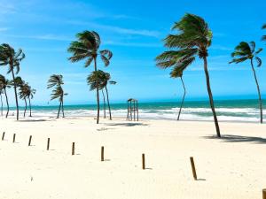 a row of palm trees on a beach with the ocean at Resort VG SUN por Be My Guest! in Caucaia
