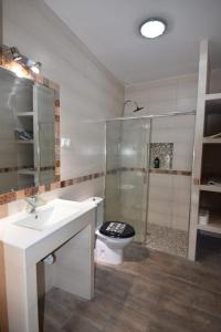a bathroom with a shower and a toilet and a sink at Apartamento Daniela 1 in Ronda