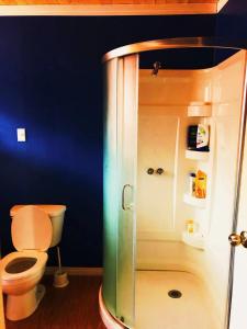 a bathroom with a toilet and a glass shower at Sarah's dreamhouse B&B in Churchill