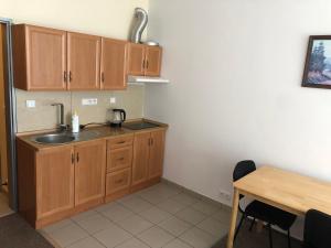 Köök või kööginurk majutusasutuses Apartment Certovka