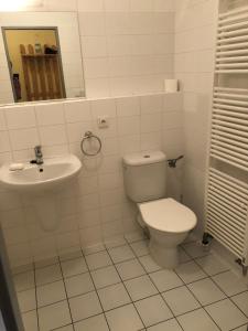Koupelna v ubytování Apartment Certovka