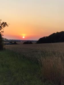 una puesta de sol en un campo con la puesta de sol en Nahe bei Störti, en Ralswiek