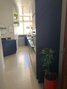 a kitchen with a potted plant on the floor at Au Bord du palmier in Rabat
