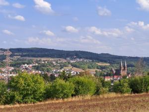 Blick auf eine Stadt von einem Hügel mit Bäumen in der Unterkunft Ferienwohnung Schleiten in Püttlingen