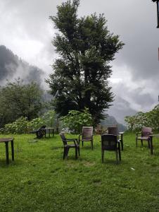 a group of benches in a field with a tree at Olive Garden Classic in Tosh