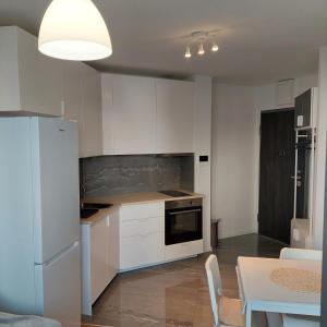 Kuchyňa alebo kuchynka v ubytovaní Apartment Paola with free private parking place