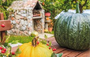 Vonkajšia záhrada v ubytovaní Holiday Home Mragowo Czerwonki + 23 fotografií