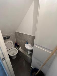 a small bathroom with a toilet and a sink at Alfaomega in London