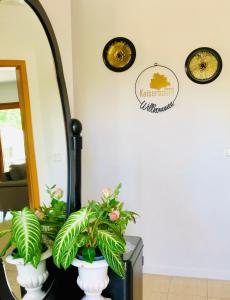 Foto sihtkohas Illmitz asuva majutusasutuse Ferienhaus Kaiserbaum galeriist