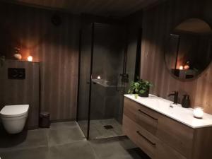 a bathroom with a shower and a toilet and a sink at Flott hytte sentralt i Hallingdal in Ål +45 photos