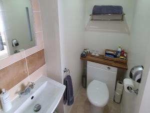a bathroom with a white toilet and a sink at Tregarthen - Adult Only in Newquay