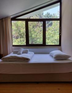 een bed in een kamer met een groot raam bij Eco Oasis in Surami