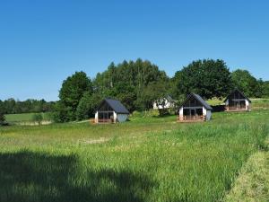 three cottages in a grassy field with trees at Domki Kamienna4 in Gersdorf