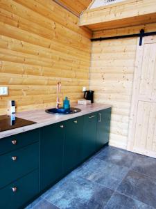 a kitchen with a sink and a wooden wall at Domki Kamienna4 in Gersdorf +29 photos