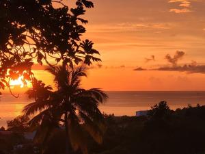 una puesta de sol sobre el océano con una palmera en logement accès piscine, en Basse-Terre