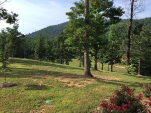 a field with a tree in the middle of it at Stonehill Cottages in Mena