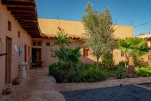 a courtyard of a house with trees and plants at Maison etoile du desert in Tighmert