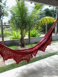 a hammock in a garden with a palm tree at Casa na Praia de Saquaira - Península de Maraú. in Marau