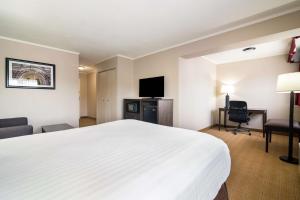 TV a/nebo společenská místnost v ubytování Best Western University Inn