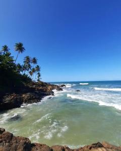 伊塔卡雷的住宿－Ammonite Hostel - Itacaré，棕榈树海滩和海洋
