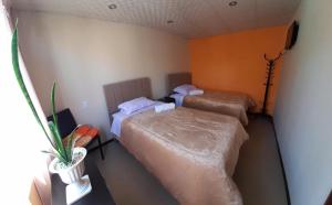 una habitación con 2 camas y una planta en ella en Departamento en Plaza de Yanahuara, en Arequipa 1 foto más