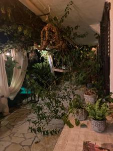 Zahrada ubytování Bastide Aïna SPA et piscine