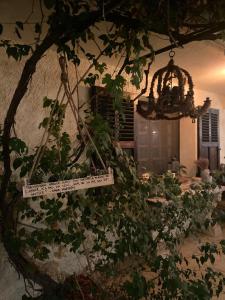 Zahrada ubytování Bastide Aïna SPA et piscine