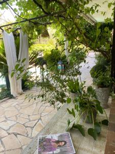 Zahrada ubytování Bastide Aïna SPA et piscine