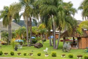 a yard with palm trees and chairs and a house at Casarão Biazolli in Farroupilha