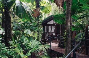 a small tree house in the middle of the forest at Daintree Wilderness Lodge in Daintree