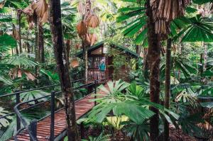 Aed väljaspool majutusasutust Daintree Wilderness Lodge