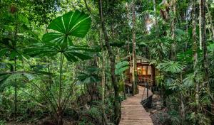 Aed väljaspool majutusasutust Daintree Wilderness Lodge