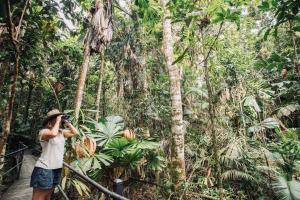 Majutusasutuse Daintree Wilderness Lodge külastajad