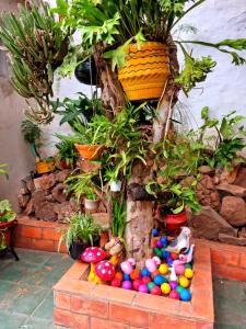 Vrt pred nastanitvijo Hostal Jardín de Luque