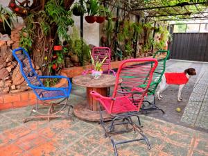 Fotografija v galeriji nastanitve Hostal Jardín de Luque v mestu San Lorenzo