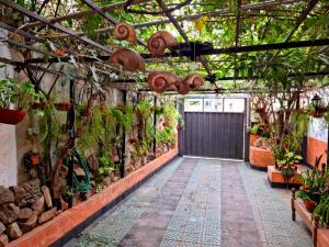 a greenhouse with a bunch of plants and a gate at Hostal Jardín de Luque in San Lorenzo