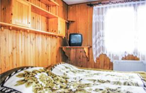 a bedroom with a bed and a tv in it at Awesome Home In Brodnica Grna With 4 Bedrooms in Brodnica Dolna