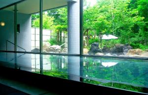 a swimming pool in a building with a view of a zoo at Otaru Asari Classe Hotel in Otaru
