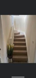 a stairway with a potted plant in a pot at 2 Bedroom duplex apartment in Bawtry