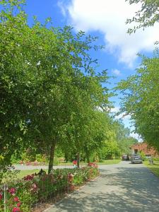 uma rua com árvores e flores num parque em Les chambres du Vert Galant Rez de jardin em Verlinghem