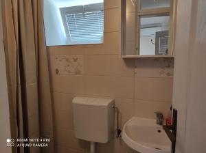 a bathroom with a toilet and a sink and a window at Apartman Pijavica in Bijela