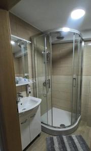 un baño con ducha y lavabo en Villa-Sana, en Vir